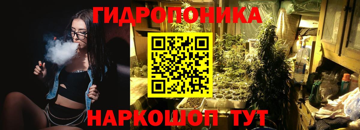Краснодар  Каннабис OG Kush  МАРИХУАНА семена  Вход с VPN 